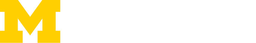 VLSI-SP Group logo